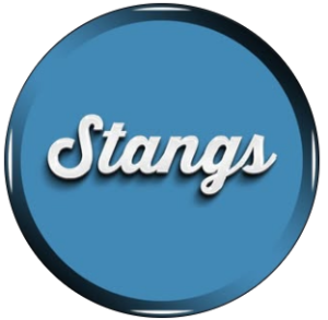 stangs houston